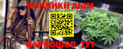 индика Кулебаки