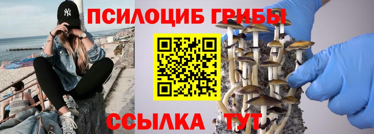 Псилоцибиновые грибы Magic Shrooms Сергиев Посад