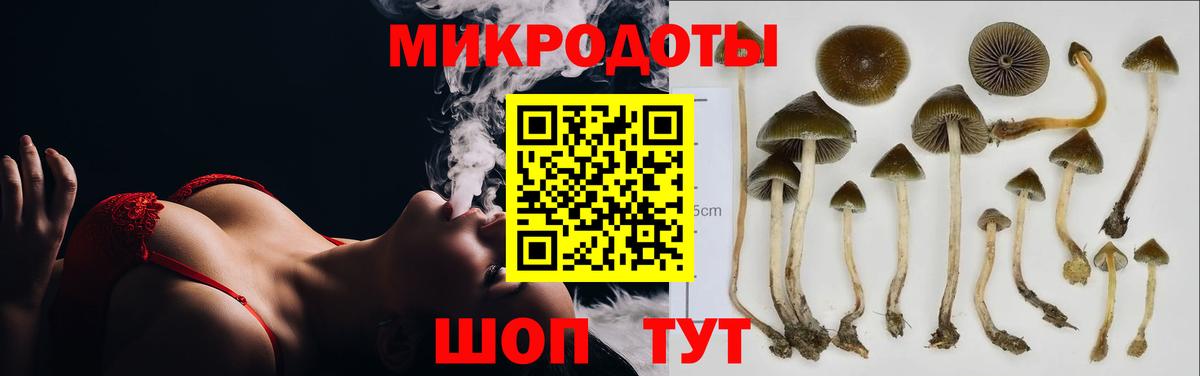 как найти наркотики  Псилоцибиновые грибы GOLDEN TEACHER  Псилоцибиновые грибы ЛСД  Вход с VPN  Сергиев Посад 